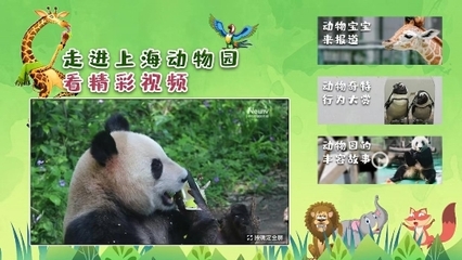 解鎖六一特別陪伴模式 中國互聯(lián)網(wǎng)電視帶您云游上海動(dòng)物園，探秘動(dòng)物飼養(yǎng)